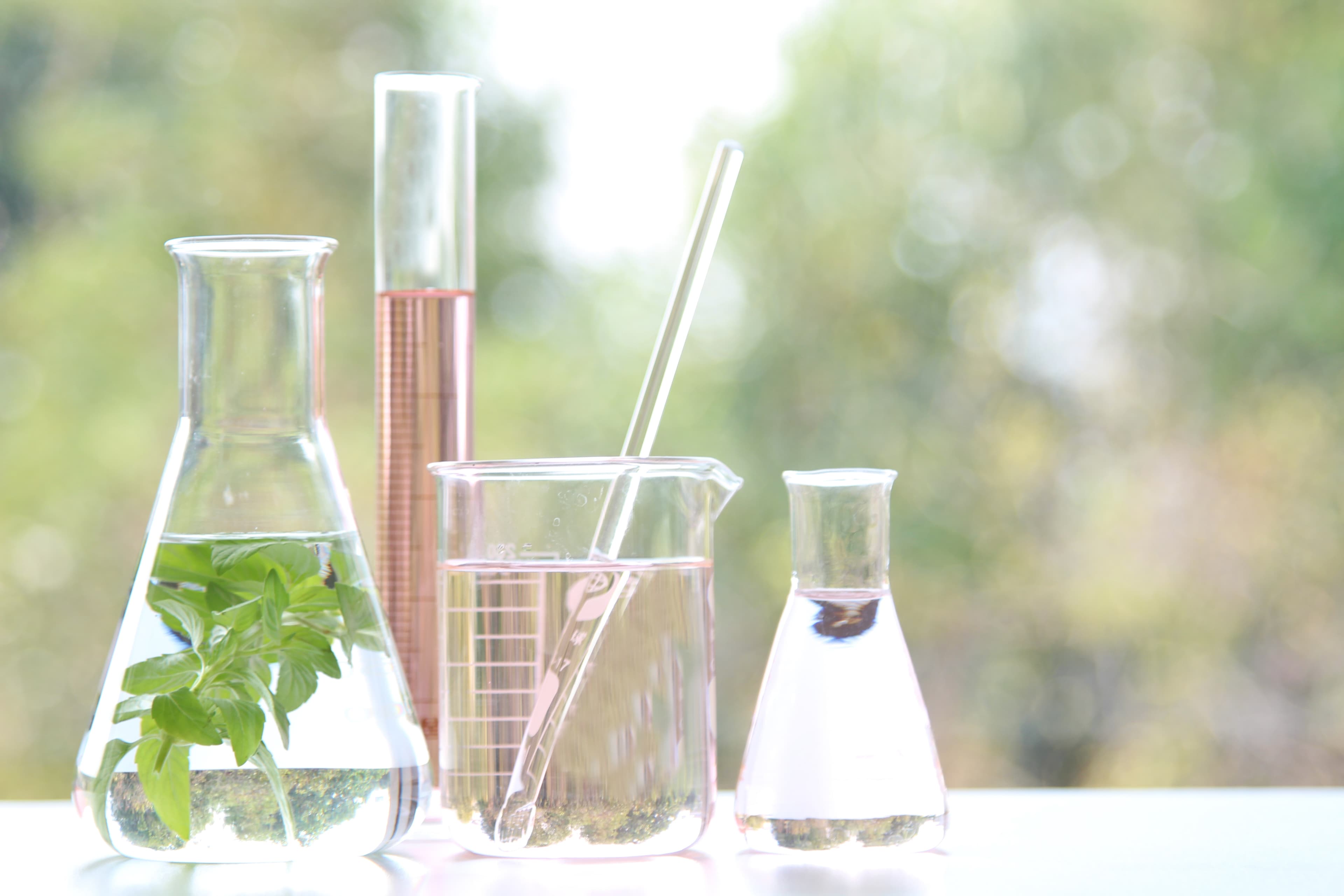 Natural herb ingredients in lab glassware with outdoor light